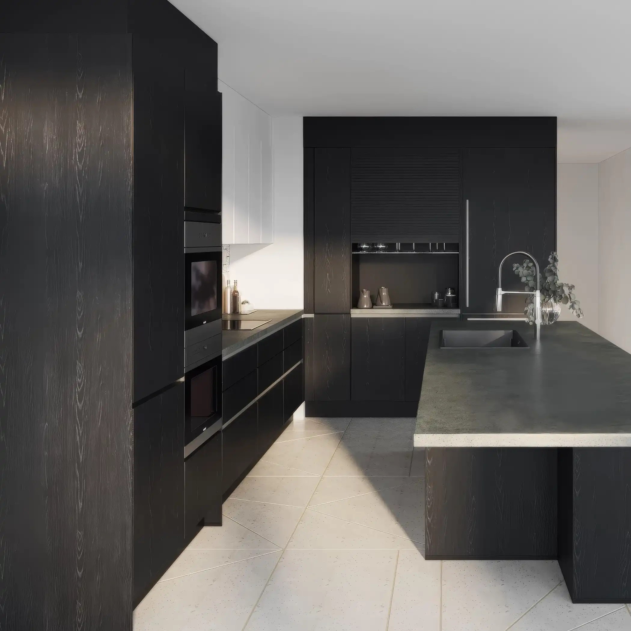 Modern black Kitchen